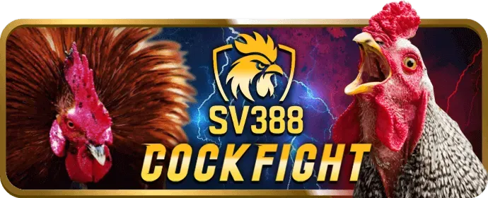 Các sự kiện và giải đấu đặc biệt tại s8club
